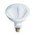 Westinghouse R40 Infrared Heat Bulb Clear