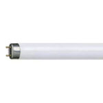 Phillips 2ft T8 Electrionic Fluorescent Tube Daylight