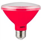 Sunlite 81470 LED PAR30 Red Recessed Bulb 8 Watt  Medium Base 120 Volt ETL Listed