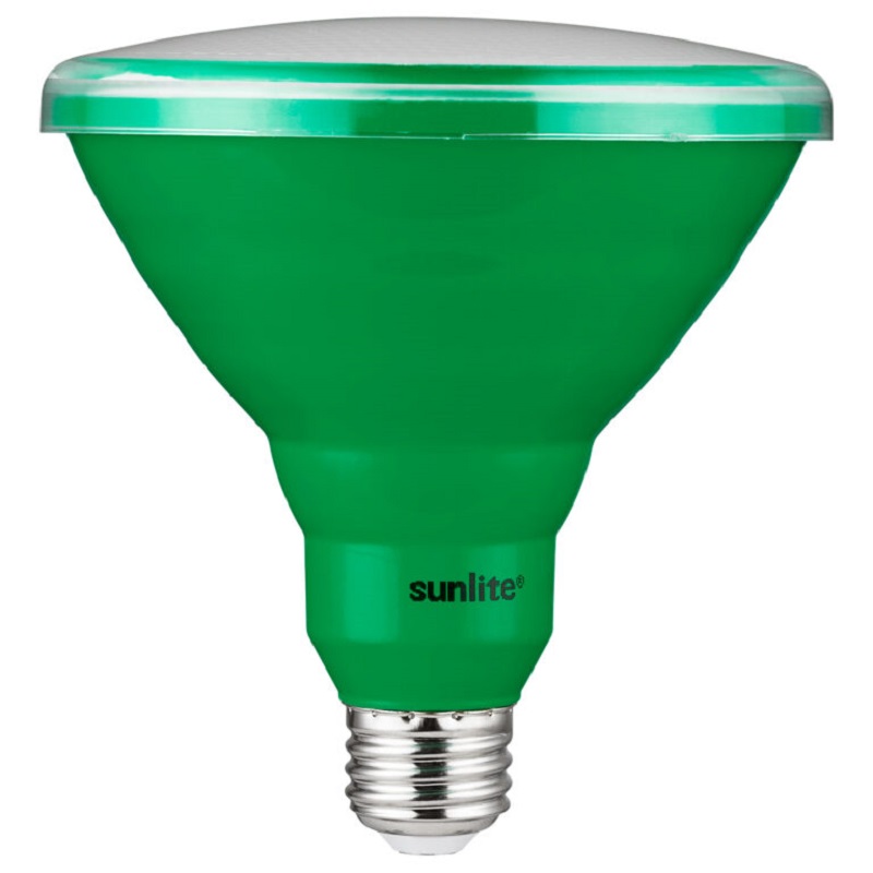 blok Udtømning snak Sunlite 81473 LED PAR30 Green Recessed Bulb 8 Watt Medium Base 120 Volt ETL  Listed - Engineering and Clean Technologies Ltd