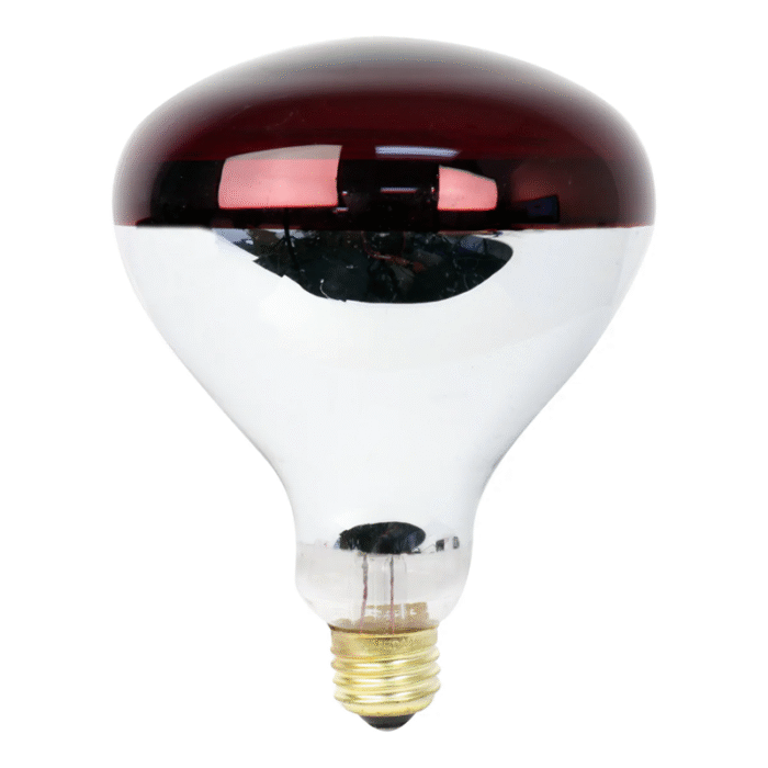 Feit Red Coated Heat Bulb - Image 3